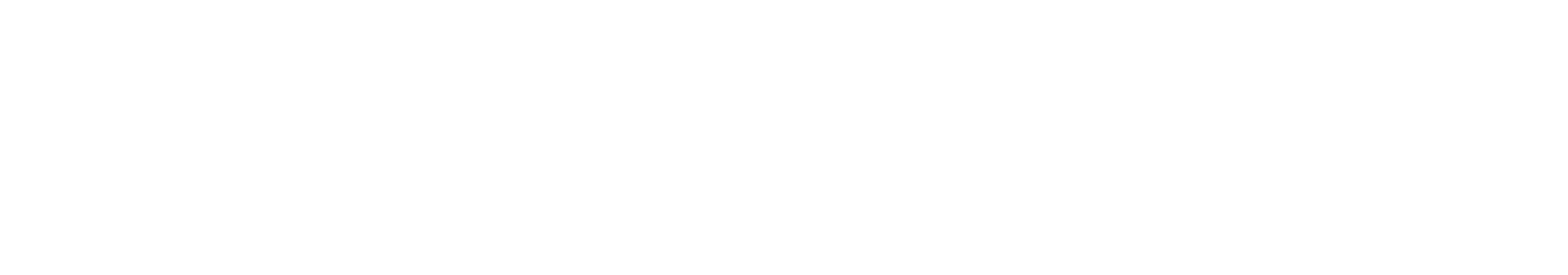 Clever Shield Logo